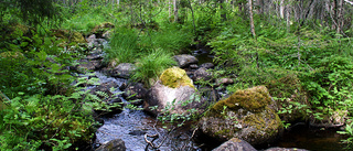 Unika sötvattenmiljöer i länet