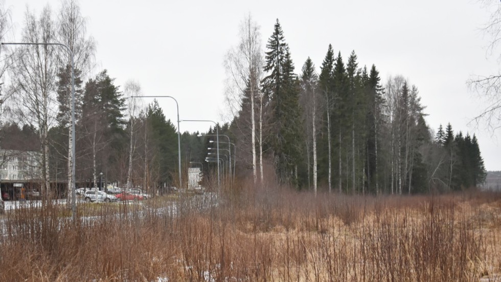 Skogen som syns rakt fram i bild ska avverkas och där ska hyreshusen byggas 