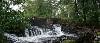 Boende rädda för att ån ska torrläggas