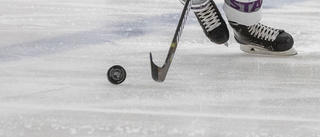 Nyköpingskille i hockeylandslag