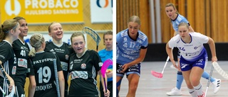 Då kommer besked om allsvenskan i innebandy