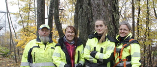 Full aktivitet i blivande trädpark: "Blev så glada"