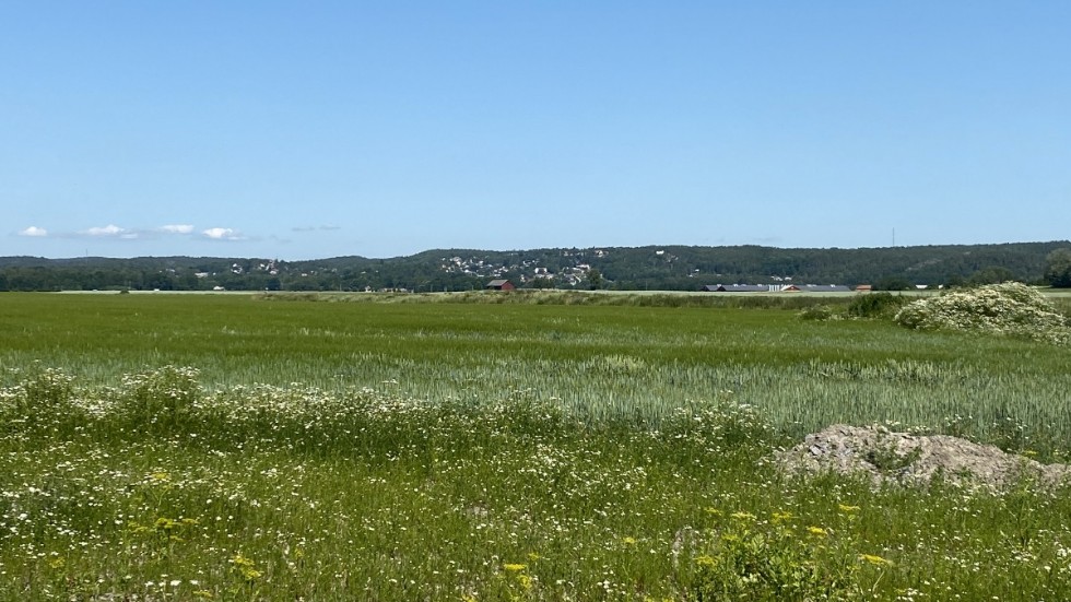 Det är inte speciellt svårt att inse att jordbruksmarken på Malmölandet inte ska bebyggas med någonting alls, vare sig det är fråga om logistikbyggnader eller utedass, skriver debattören.
