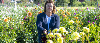 Pia satsar på "slow flowers" hemma på gården