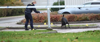 En anhållen för dödsskjutningen i Linköping