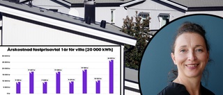 De varnar för att binda elavtal – nästan dubbla priset mot i fjol för Eskilstunabor: "Sitt lugnt i båten"