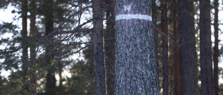 "Det har brustit från båda parter"