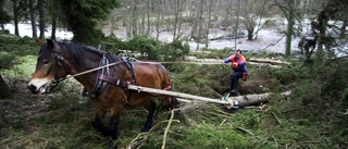 Folkhemmets traskande genom den vilda naturen