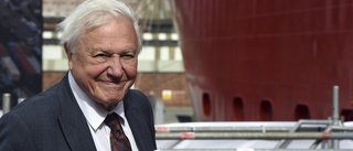 Attenborough hyllas med specialprogram