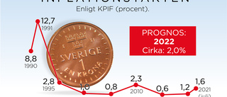 Inflationsspöket oroar ekonomer