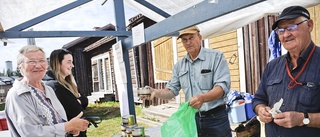 Stor variation på skördemarknaden