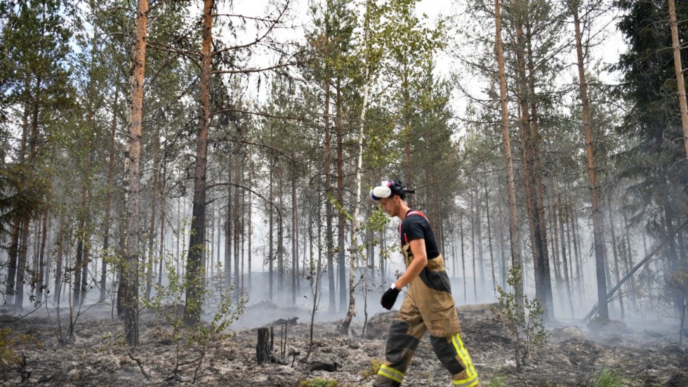 "Om sommaren blir lika varm och torr som för tre år sedan är risken för skogsbränder stor. Men både allmänhet och skogsägare i Kalmar län kan bidra till att minska risken", skriver representanter för stiftelsen Skogssällskapet.