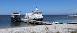 Fågelinfluensa konstaterad på Stora Karlsö