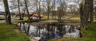 Kraftig utbyggnad eller minitillväxt i känslig miljö