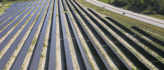 Låt Gotland fortsätta växa med solen