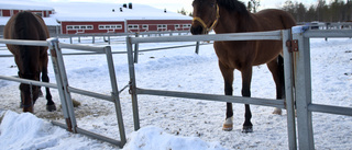 Gällivare kommun borde skämmas