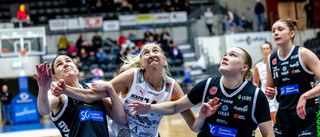 Så är truppläget i Luleå Basket och BC Luleå