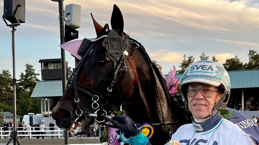 Solvallahästen Missle Hill blev Visby Travfests stora vinnare då han segrade i Gotlandslöpningen. Daniel Redén tränar och Örjan Kihlström körde. 