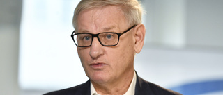 Bildt ska se över underrättelsearbete