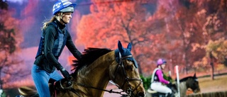 Fem år sedan sist – Anna tillbaka på Friends arena