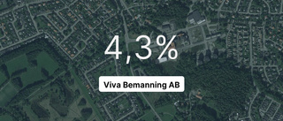 Så gick det för Viva Bemanning AB 2022