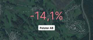 Intäkterna fortsätter växa för Petster AB