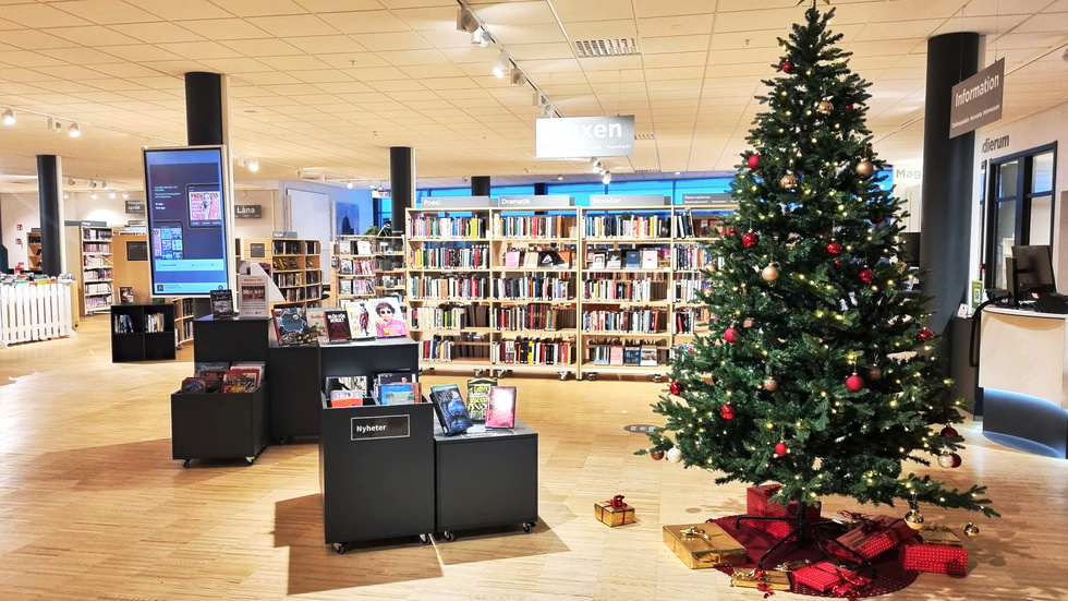 Den påverkade mannen betedde sig hotfullt mot personalen, stökade, levde om och höll på att välta julgranen. Kiruna bibliotek har nu ansökt om tillträdesförbud för honom. 
