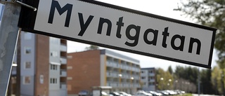 Varför avverkas det skog efter Myntgatan?