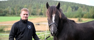 Galopper förstörde finalerna för Skellefteåhästarna