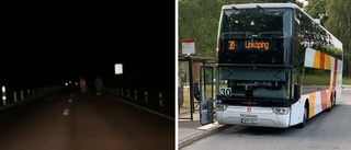 Busschauffören Anas räddade livet på tre hästar som rymt