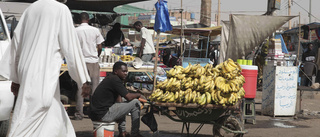 Hungern i Sudan ökar lavinartat