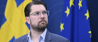 Åkesson: 13-åringar ska kunna få livstid