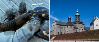 Då kan du fiska kräftor i Vadstena