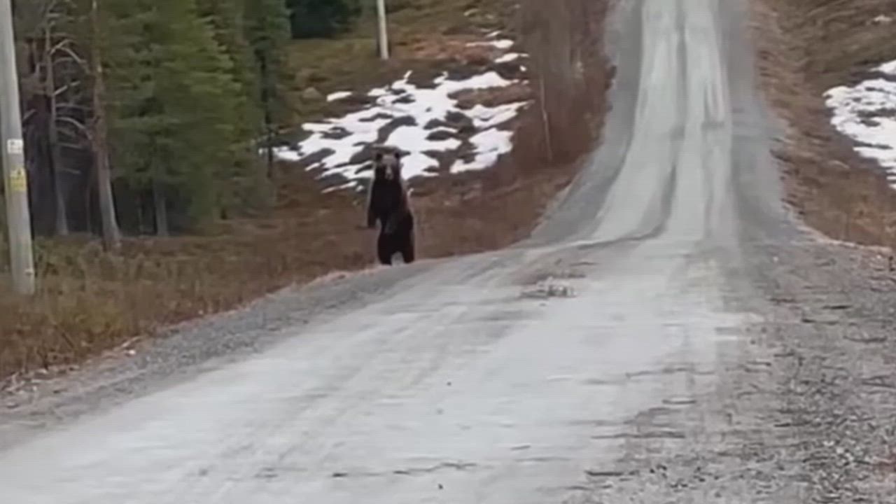 https://cdn.ntm.se/api/v1/images/jn8xd52j