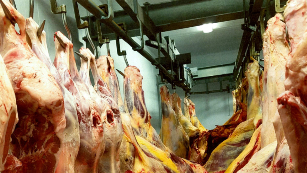 Här ska sådant kött som slaktats på godkända slakterier ha blandats med sådant som slaktats illegalt på plats. Det menar Livsmedelsverket.