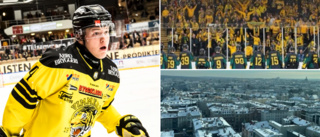 Norberg om avslutet i VH, polsk hockey och otäcka skadan