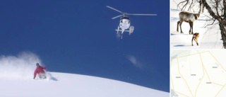 Samebyar fick rätt om stopp för heliski – men striden går vidare