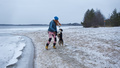 Här planeras fem nya naturreservat i Luleå – och det kan bli fler