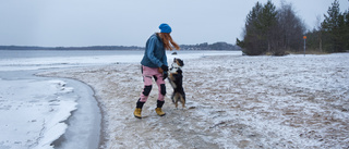 Här planeras fem nya naturreservat i Luleå – och det kan bli fler