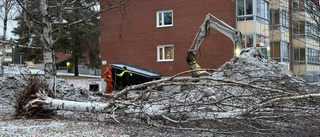 Frustrerad hyresgäst om läckan på Furuberget: "Provocerande"