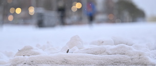 Då kommer nästa snöfall till Uppsala län