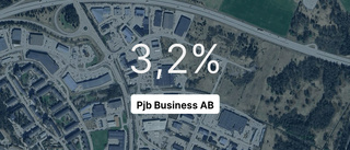 Ingen i branschen matchade omsättning för Pjb Business AB i fjol