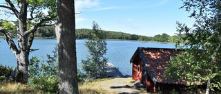 Föreningen har många frågor om reservatet