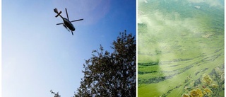 Därför kommer helikopter synas över viken: "Den är inte skadlig"