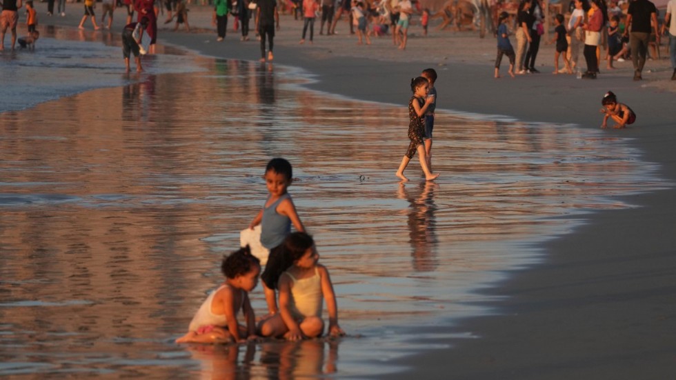 Palestinska barn på stranden i Gaza tidigare i augusti. Barnen njuter av det sommarvarma vattnet, men för många arter är temperaturerna ett stort hot.