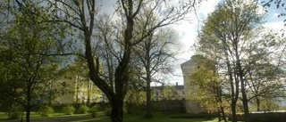 Löfstad slott säljer hus