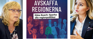 KD hänger ut gotländsk politikertopp i kampanj – vill ”sparka alla regionpolitiker” • ”Beklämmande”