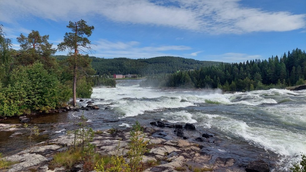 I vackra Storforsen strömmar vattnet på. 