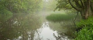 Naturen skriver kärleksbrev