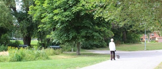 Stökigt och oroligt i Ljura under sommaren